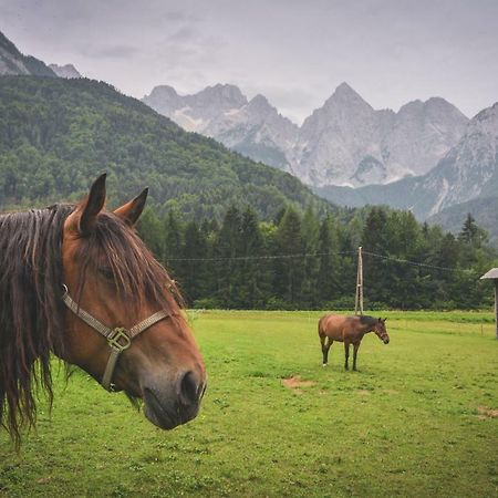 Klass 210 Kranjska Gora Eksteriør billede