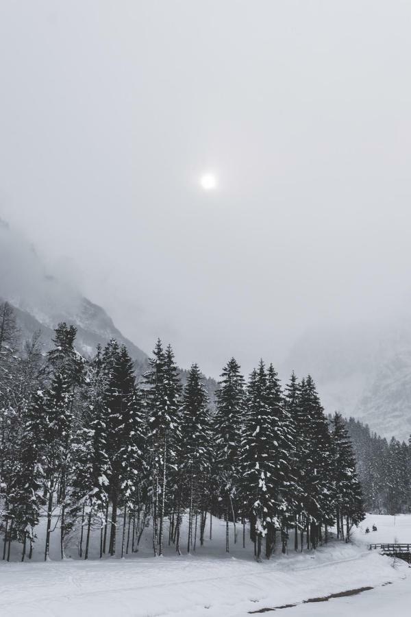 Klass 210 Kranjska Gora Eksteriør billede