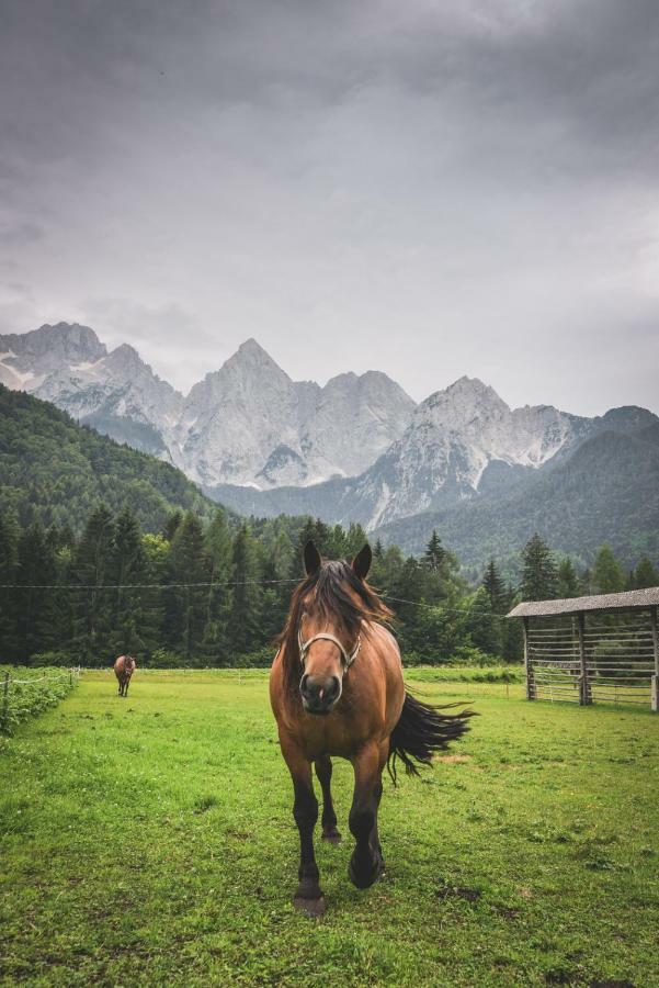 Klass 210 Kranjska Gora Eksteriør billede